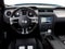 2010 Ford Mustang Shelby GT500